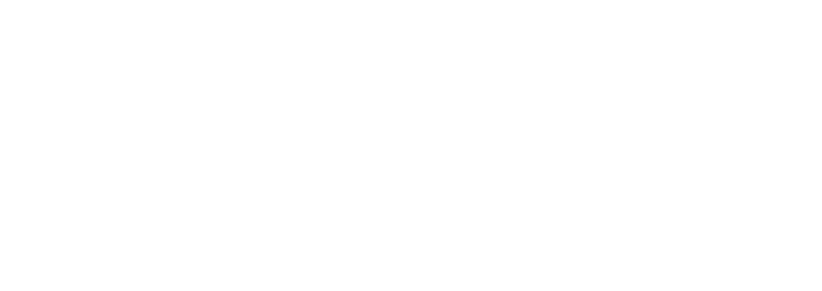 Ruiz Moreno Auditores y Contadores